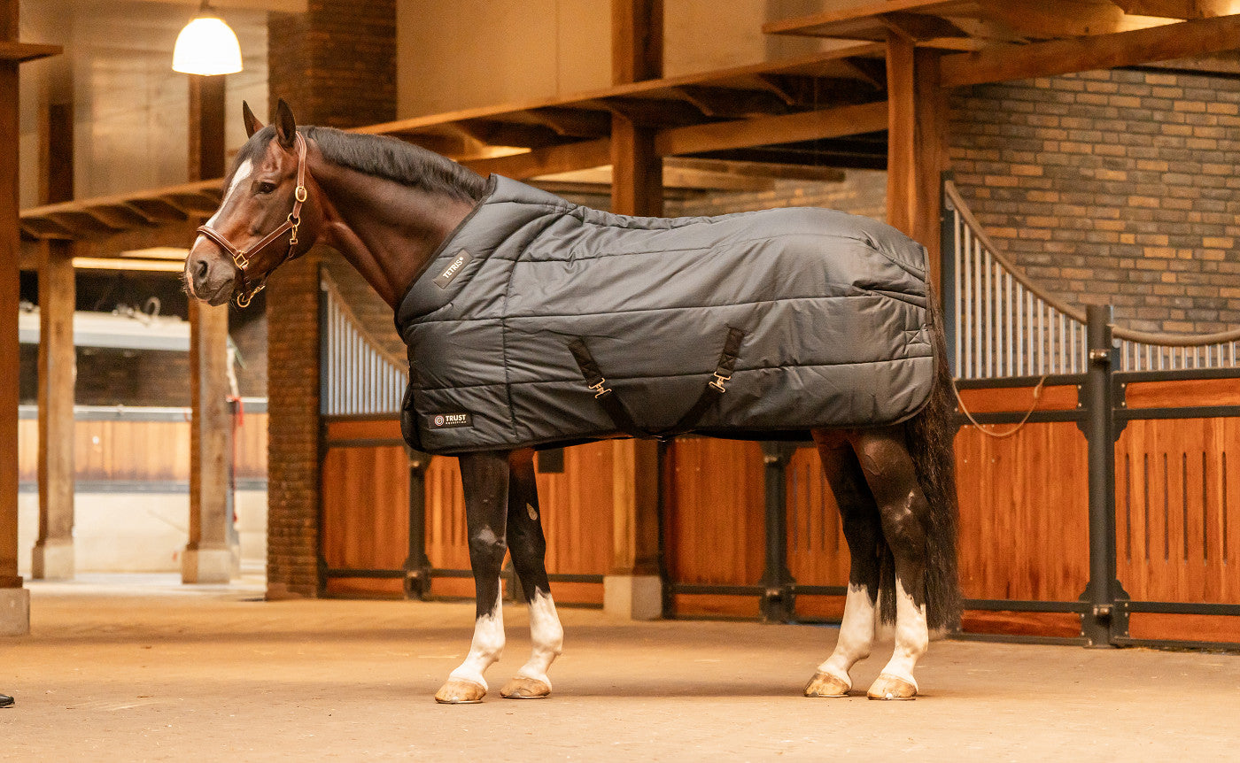 TRUST TETRIS stable rug 200 gsm