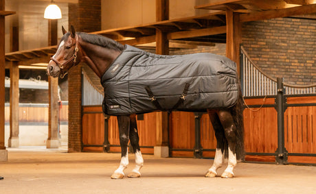 TRUST TETRIS stable rug 200 gsm