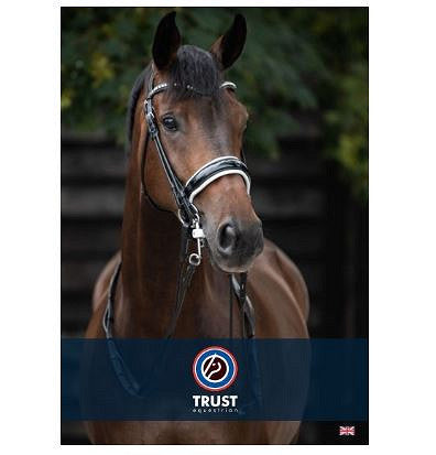 TRUST Catalogue Equine Ind.Trust.EN