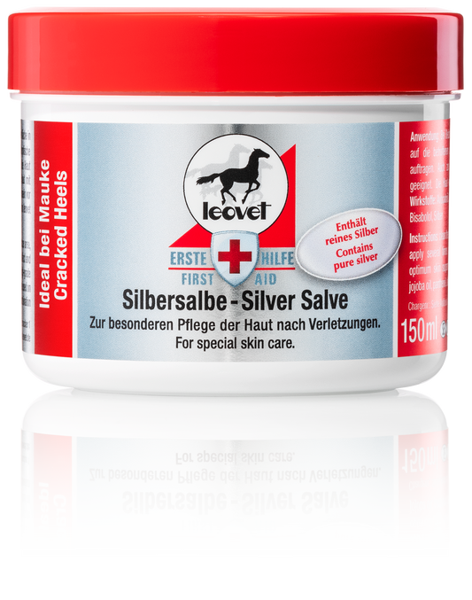 First Aid Silver Salve