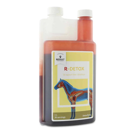 Horse and Balance Result Equine Detox