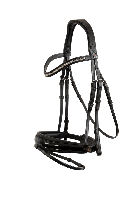 Vancouver combined noseband bridle