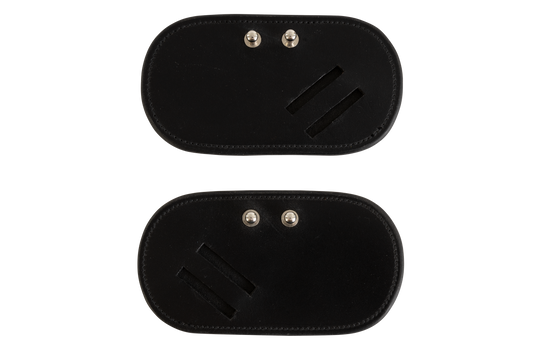 Hackamore protector