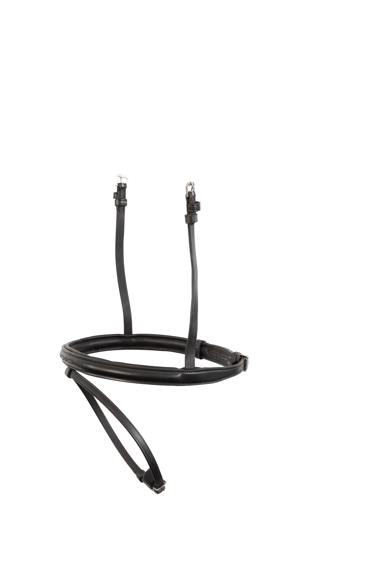 TRUST Noseband Calgary