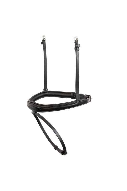 TRUST Noseband Amsterdam