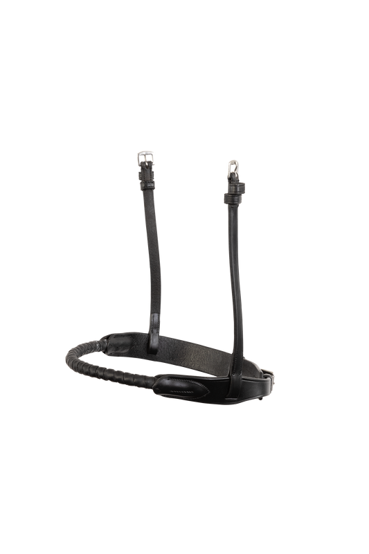 TRUST Noseband Dublin