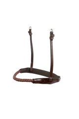TRUST Noseband Dublin