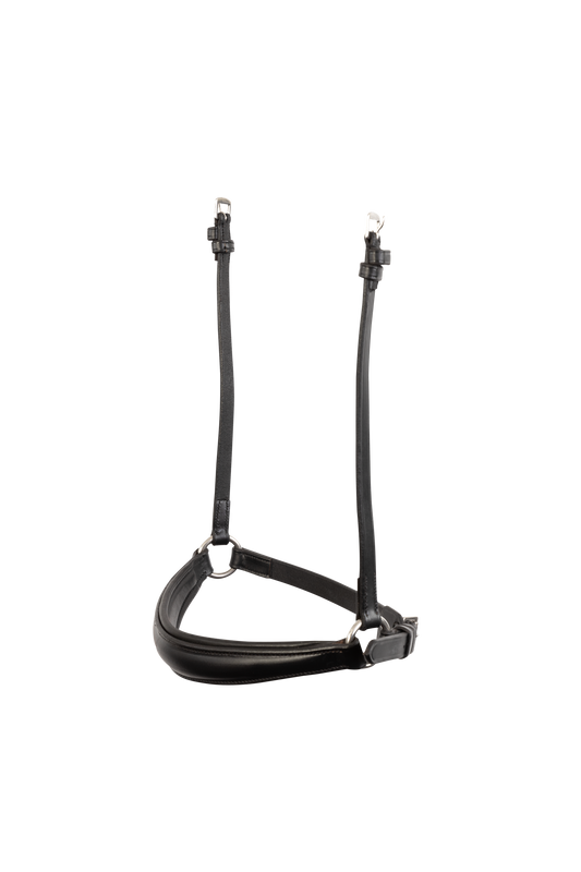 TRUST Noseband Rome