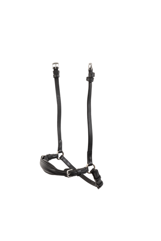 TRUST Noseband Barcelona