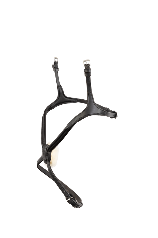 TRUST Noseband Oslo