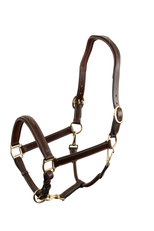 halter San Miguel