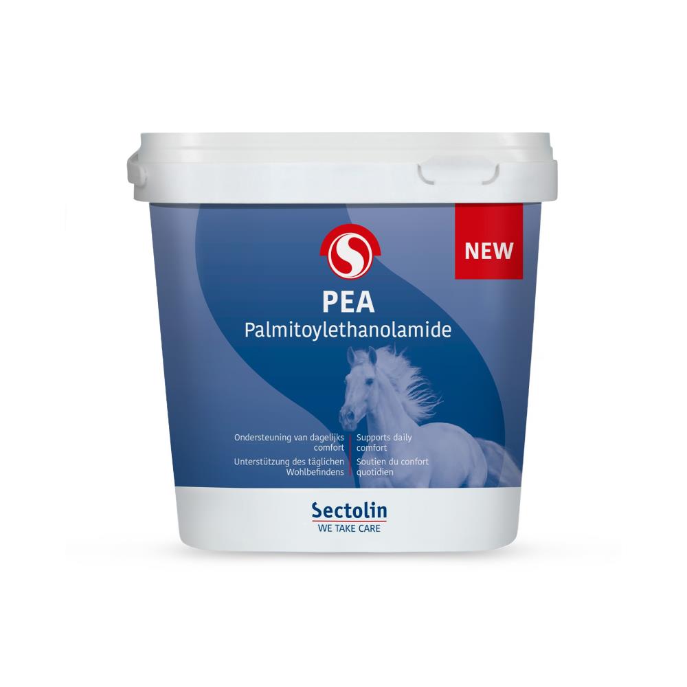 PEA Paard