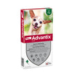Advantix 40/200 (XS) HOND 1,5 - 4 kg - 6 pip - REG NL 106415 x