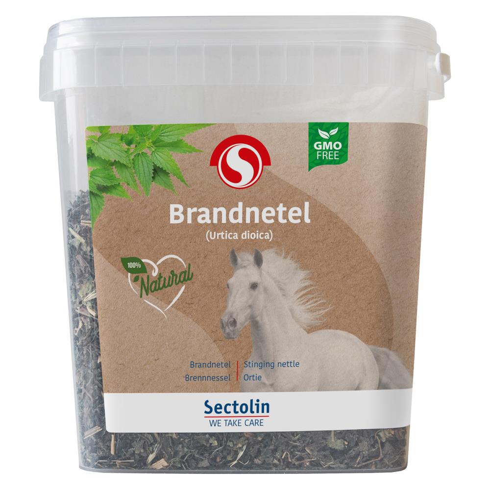 Brandnetel