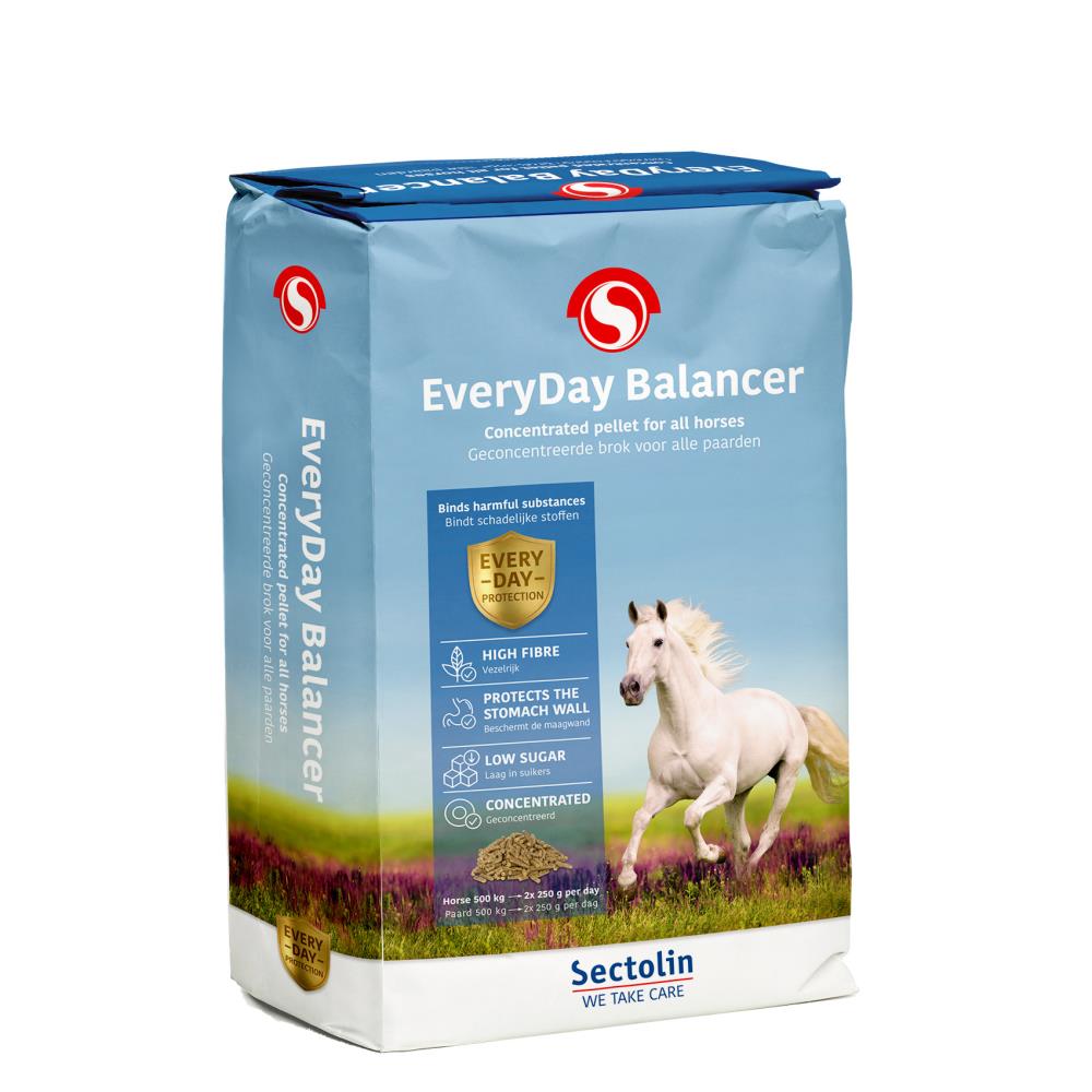 EveryDay Balancer