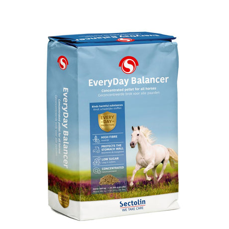 EveryDay Balancer