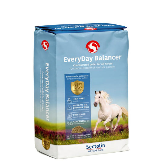 EveryDay Balancer