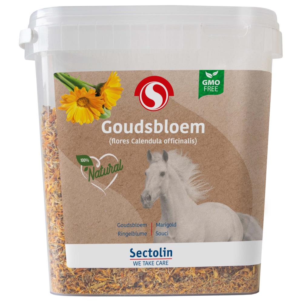 Goudsbloem