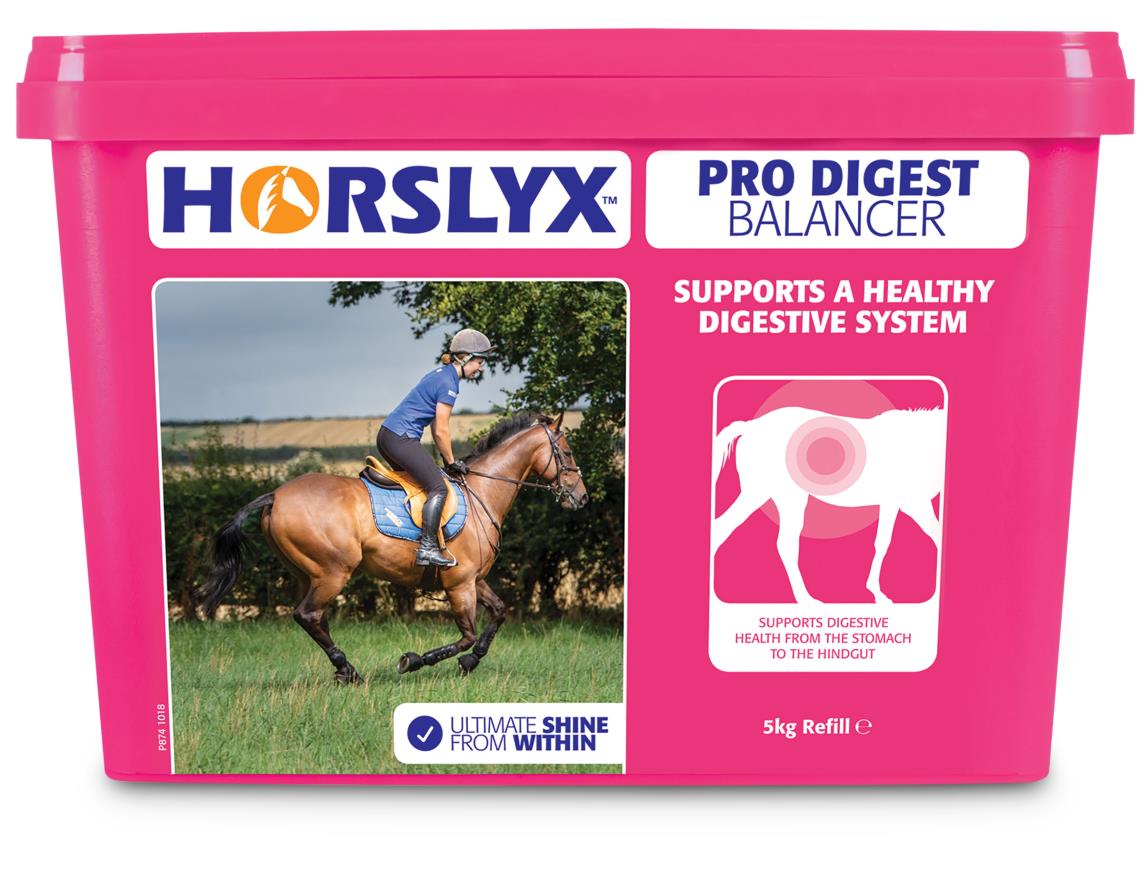 Horslyx Pro Digest Balancer