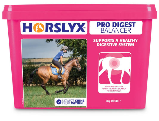 Horslyx Pro Digest Balancer