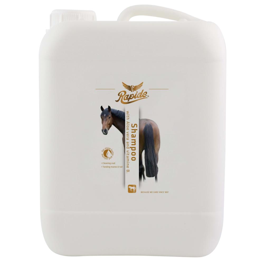 Shine shampoo - Rapide