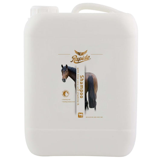 Shine shampoo - Rapide