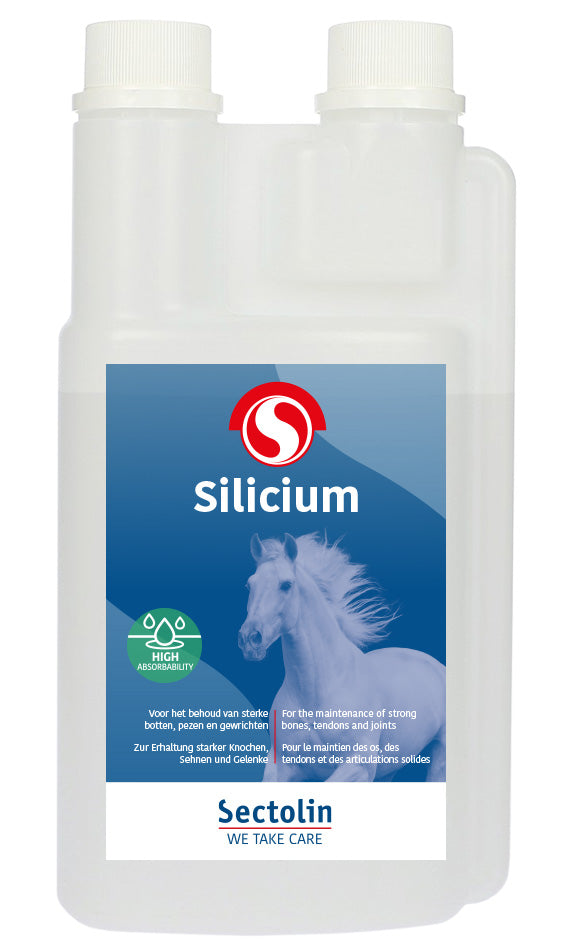 Silicium Paard