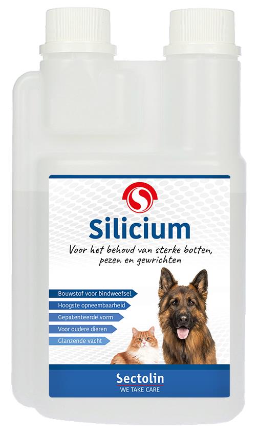 Silicium Hond & Kat
